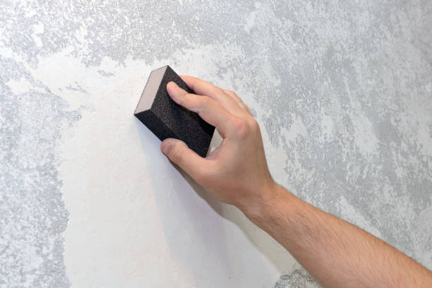 Best Basement Mold Removal  in St Michaels, MD