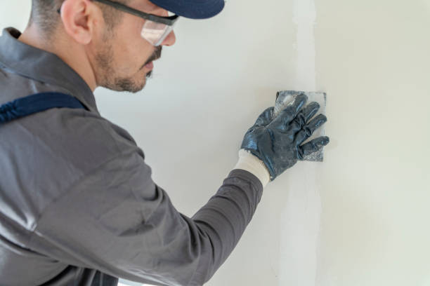 Best Environmental Consulting for Mold Prevention  in St Michaels, MD