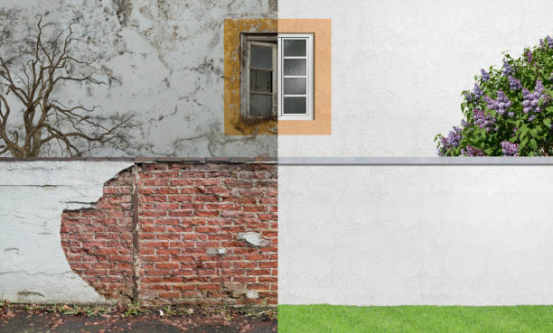 Best Mold Documentation for Insurance Claims  in St Michaels, MD