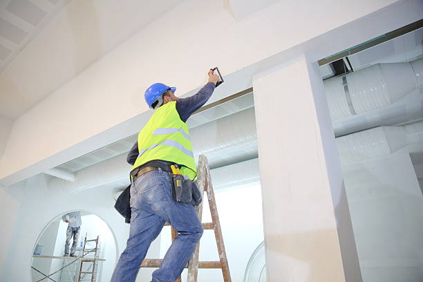 Best Attic Mold Removal  in St Michaels, MD