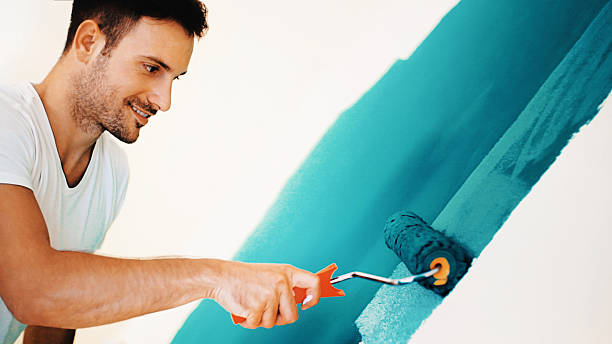 Mold Odor Removal Services in St Michaels, MD